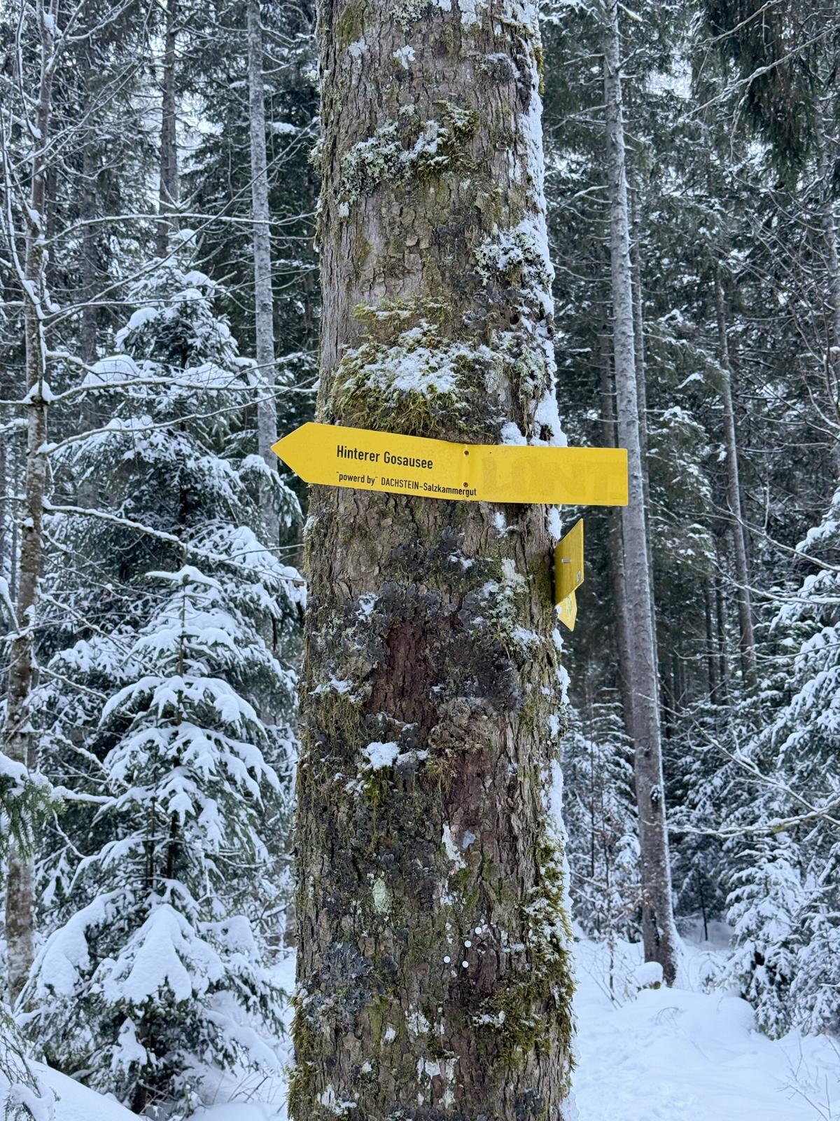 Wanderweg Gosausee