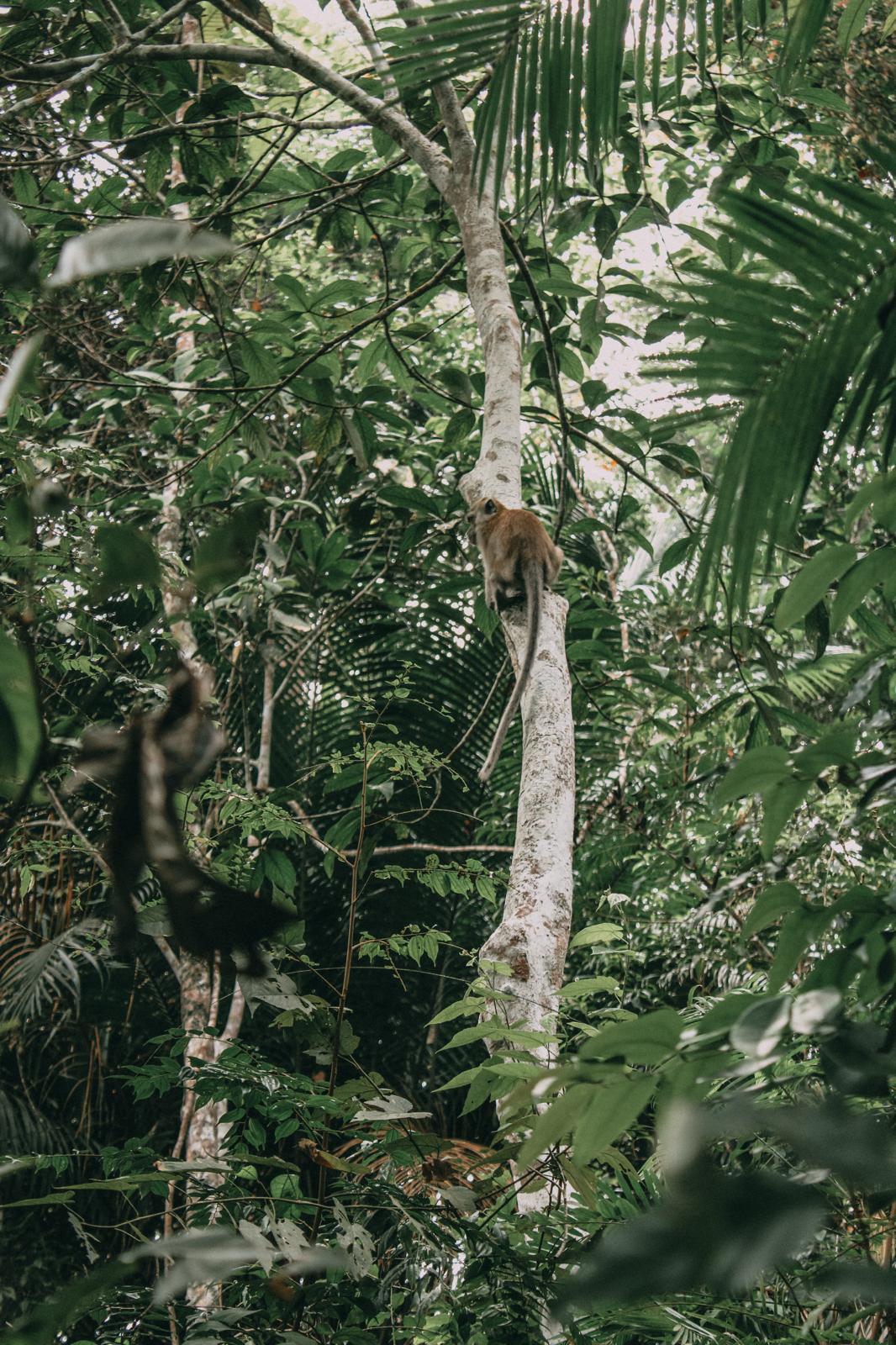 Penang