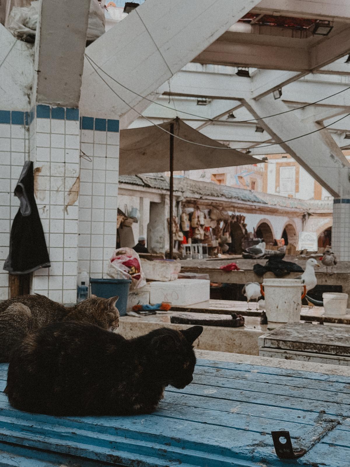 Fischmarkt Essouira
